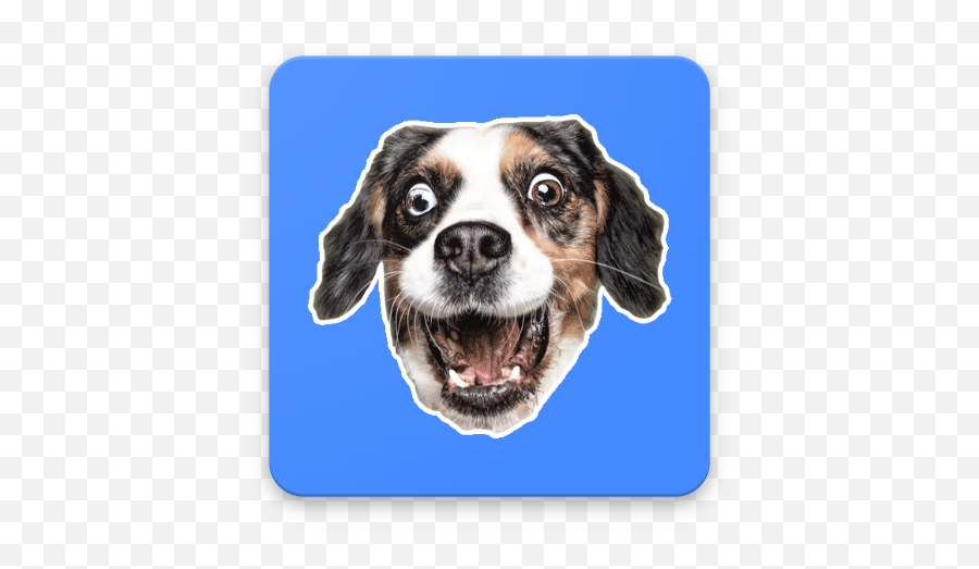 Exort Apps - Funny Animals Wa Stickers Canine Tooth Emoji,Dog Emoji App