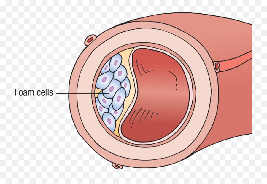 The Nervous System Springer Publishing - Medical Emoji,Custom Msn Emotions