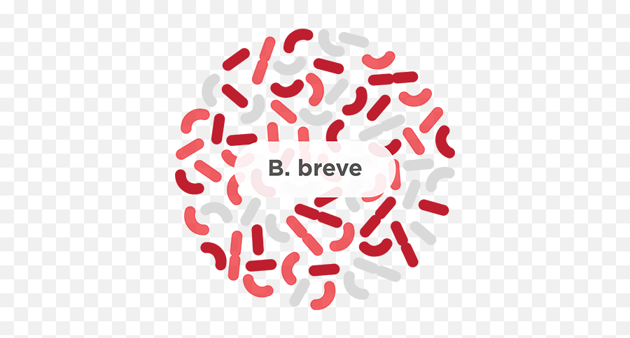 B Breve - A Common Probiotic Strain Humarian B Lactis Hn019 Emoji,B&w Emotions