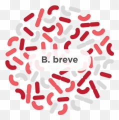 B Breve - A Common Probiotic Strain Humarian B Lactis Hn019 Emoji,B&w Emotions