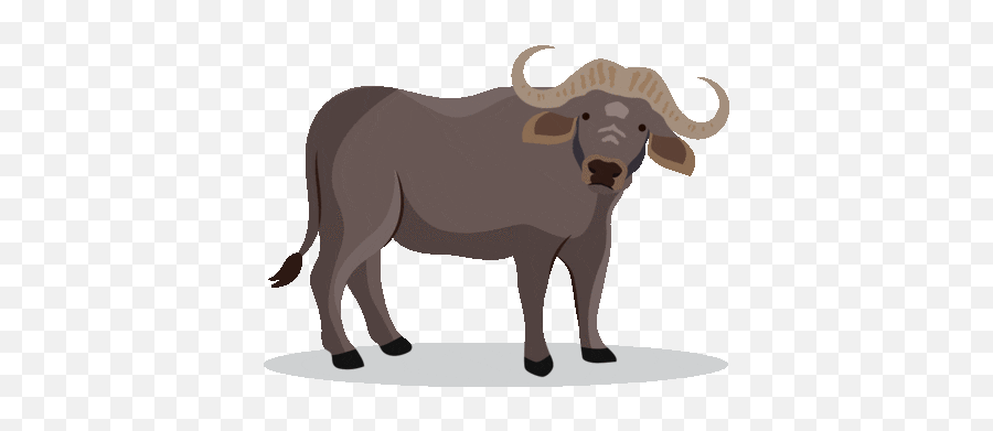 The Animal Quiz Baamboozle - Animal Figure Emoji,Bufflo Emojis