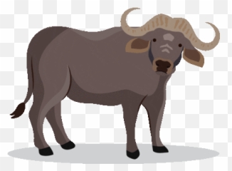 The Animal Quiz Baamboozle - Animal Figure Emoji,Bufflo Emojis