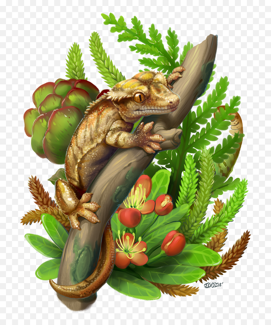 Crested Gecko - Amphibians Emoji,What Does Color Say About Crested Geckos Emotion