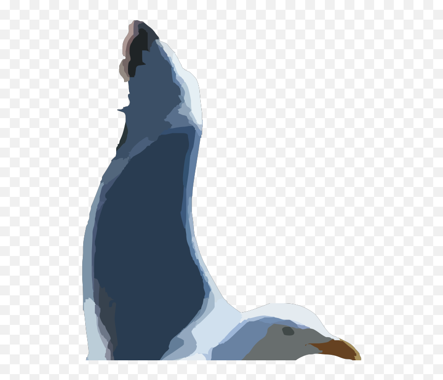 Seagull Contour Png Svg Clip Art For - Gulls Emoji,Contour Drawings Of Emojis Seagull Contour Png Svg Clip Art For - Gulls Emoji,Contour Drawings Of Emojis