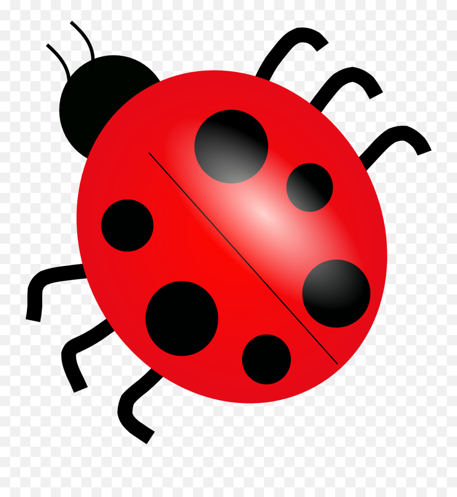 Beetle Clipart Transparent Background - Transparent Background Ladybug Clipart Emoji,Zzz Ant Ladybug Ant Emoji