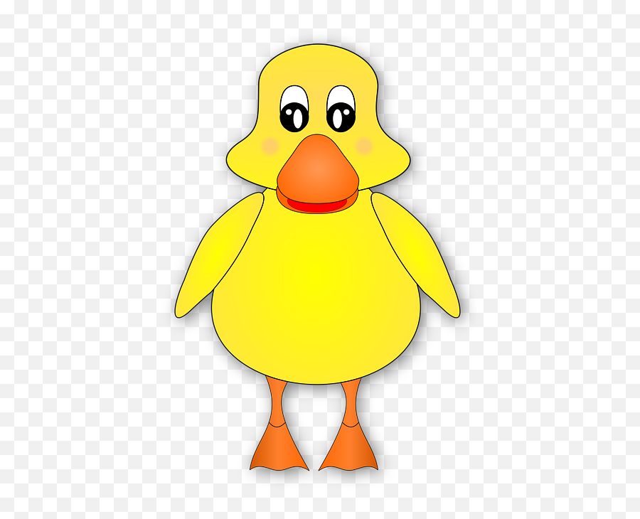 Free Photo Cartoon Animal Beak Duck Bird Cute Wings Chick - Pico De Pato Dibujo Emoji,Animal Emotions Cartoon