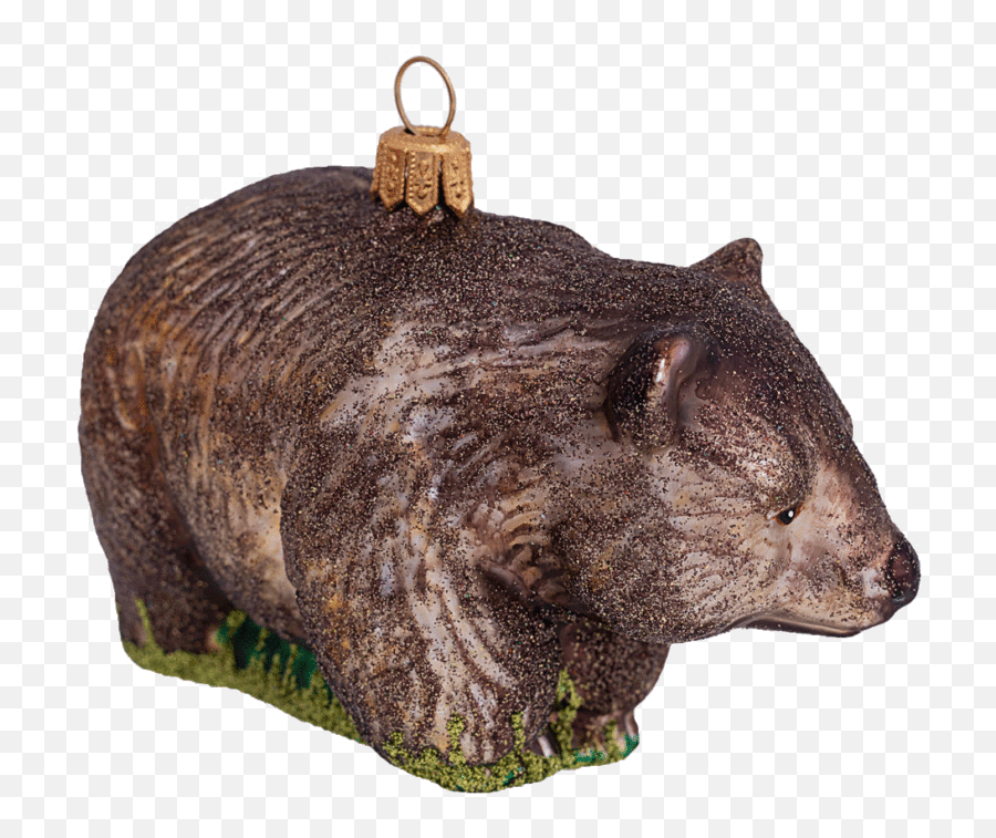 Wombat Emoji,The Wombats Emoticons Karaoke