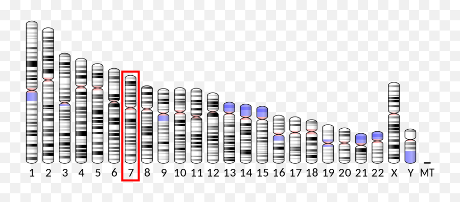 C - Vmat2 Gene Emoji,Aveo Emotion 2006