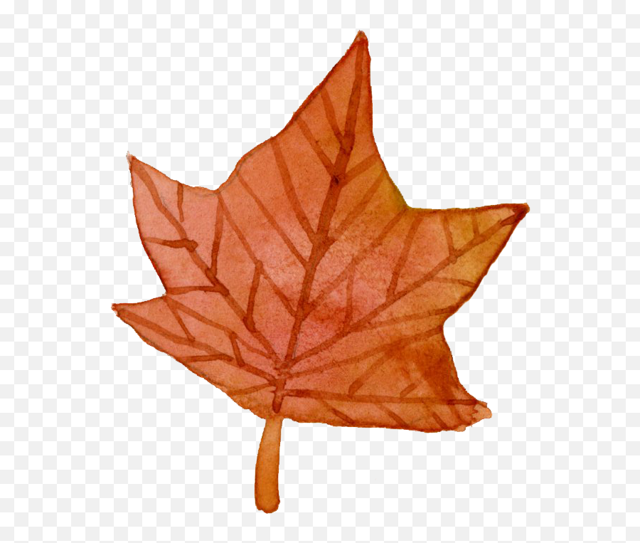 Transition Semantic Ui - Objects That Are Irregular Polygon Emoji,Little Yellow Maple Leaf Meaning In Emotions