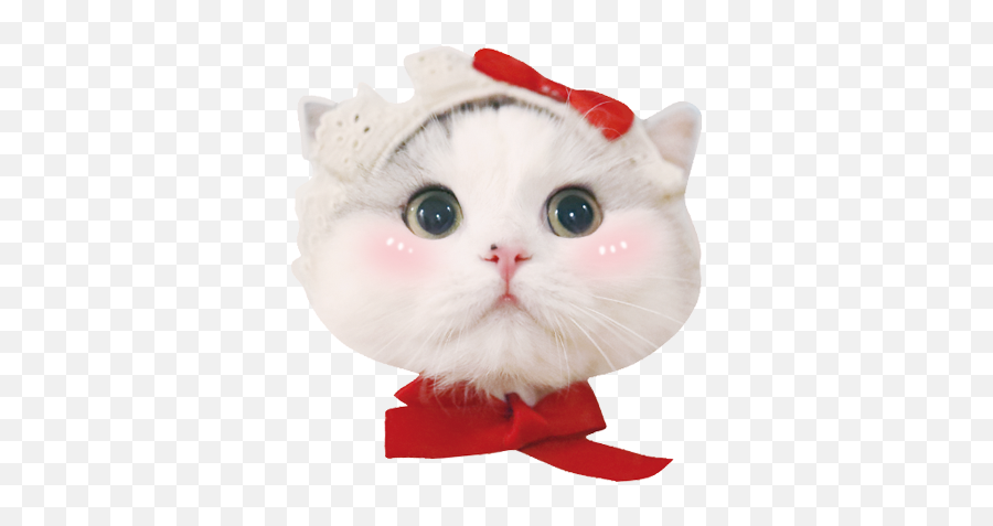 Cat Meow Emoji Sticker - Cat Apparel,Miku Emoji