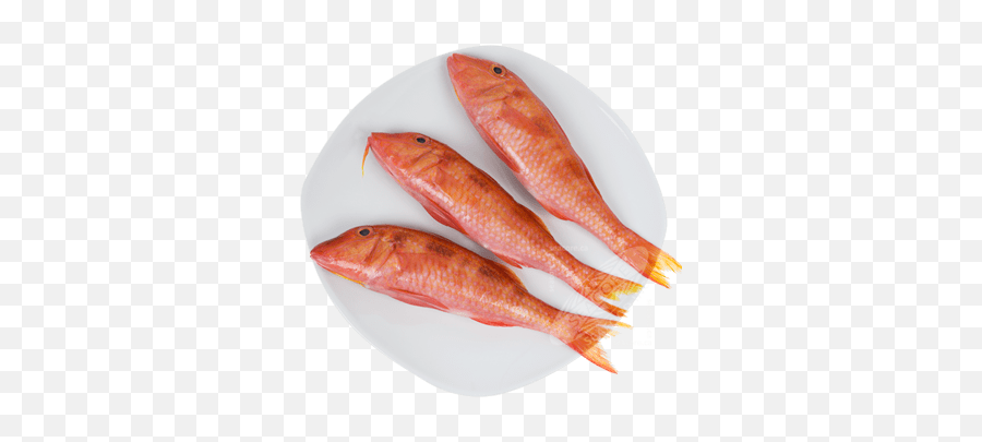 Red Mullet - Description Of The Fish Health Benefits And Harms Mullet Fish Red Mullet Png Emoji,Guess The Emoji Fish Horse