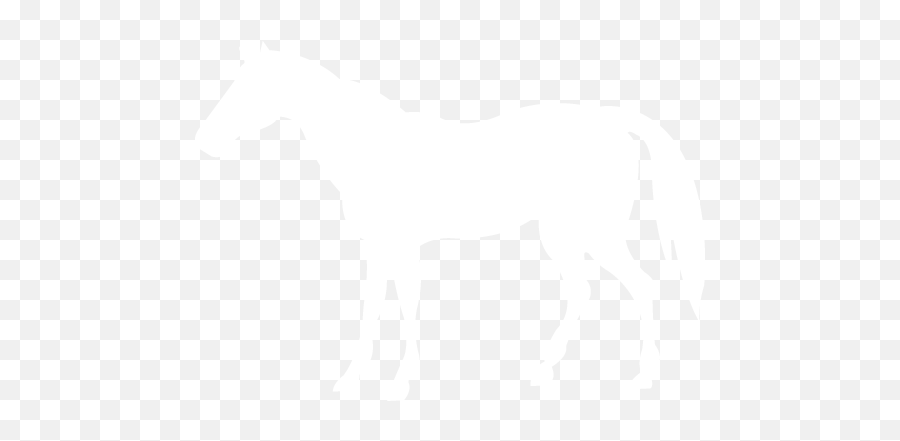 White Horse 4 Icon - Free White Animal Icons White Icon Horse Emoji,Horse Emoticon On Facebook