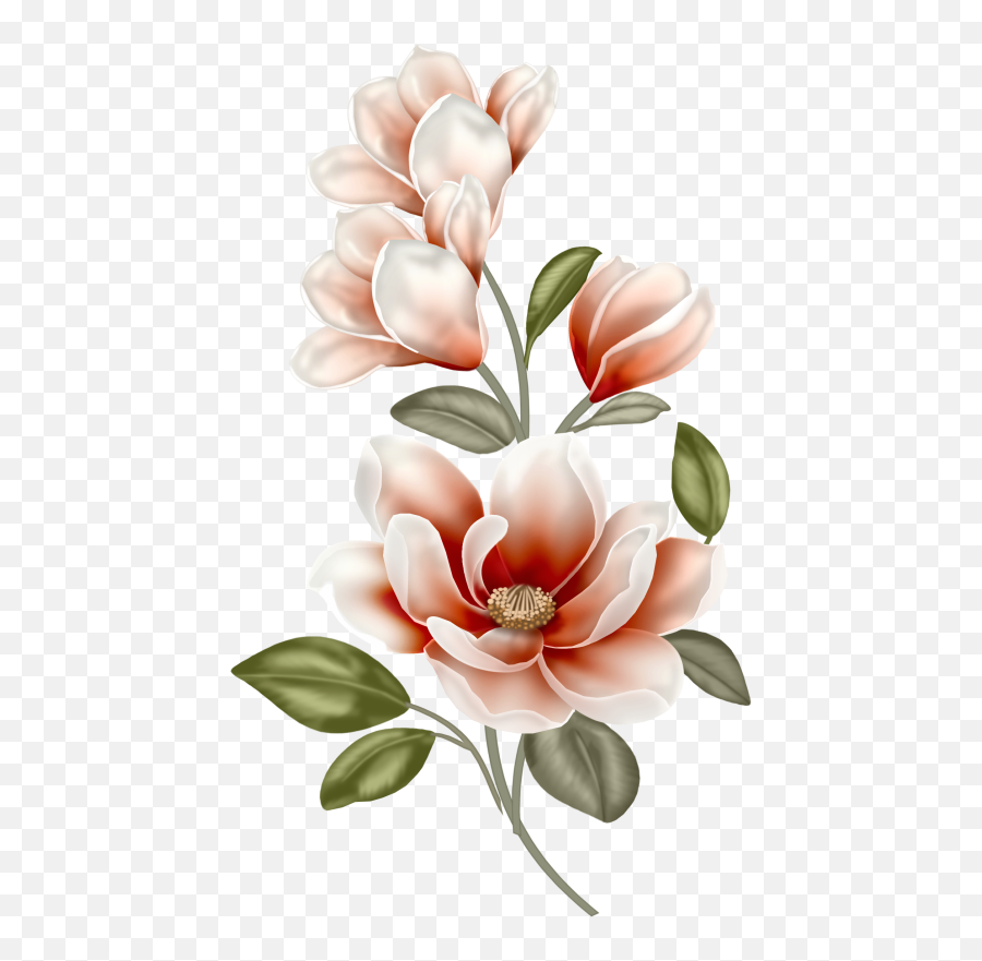 Marie - Jeanne Lafontaine Lafontaine1943 Profiel Pinterest Color Magnolia Flower Drawing Emoji,Chili Con Carne Emoticon