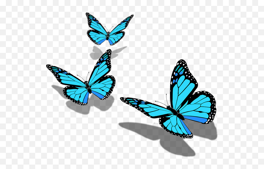 Mariposa Butterfly Butterflys Sticker - Butterfly Png Hd Download Emoji,Emoji Mariposa