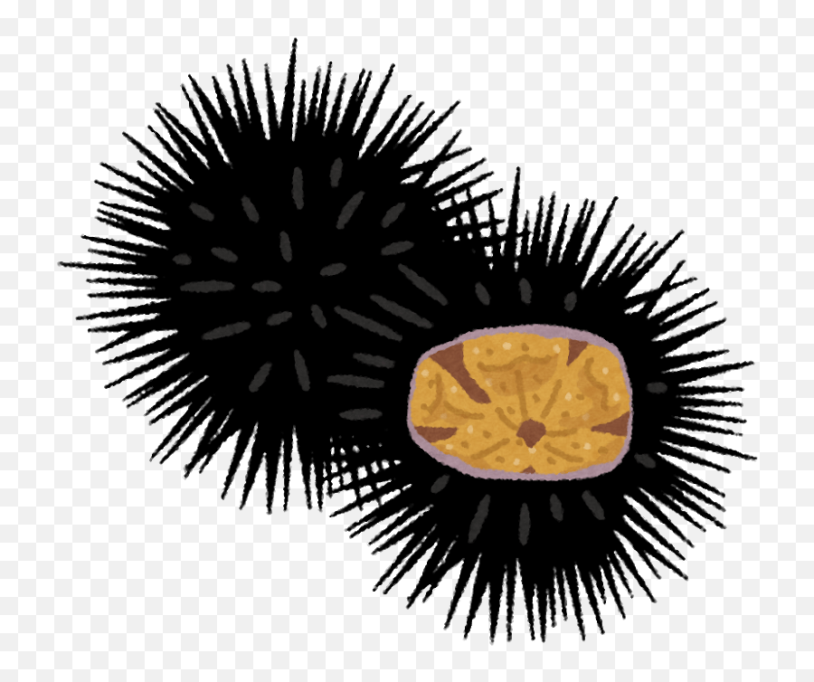 Learn The Name Of - Sea Urchins Emoji,Aprenderespanol Subjuntivos Con Emotion