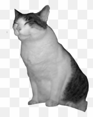Cat Power U2013 Ursidice Emoji,Animal Crossing Cat Villagers Emotions