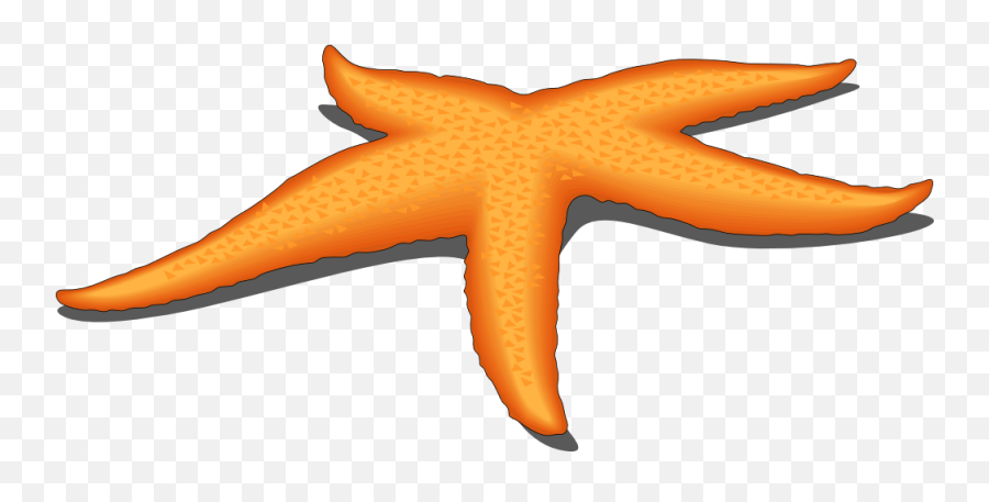 Free Starfish Cliparts Download Free Clip Art Free Clip - Sea Star Clipart Emoji,Starfish Emoji