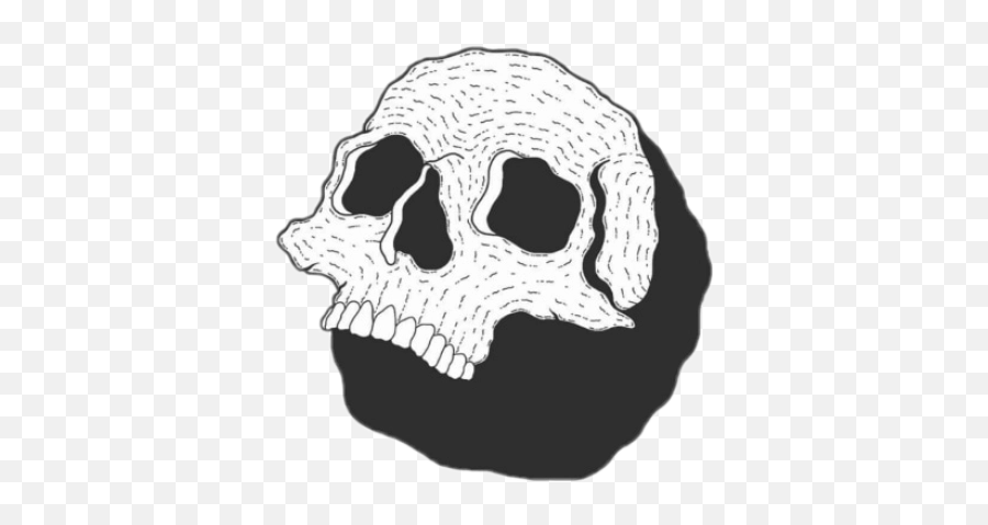 Skeleton Png And Vectors For Free - Scary Emoji,Skull Emoji 1920 1080