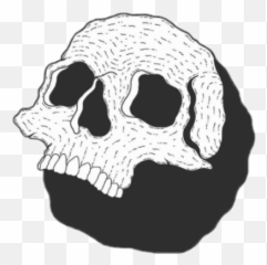 Skeleton Png And Vectors For Free - Scary Emoji,Skull Emoji 1920 1080