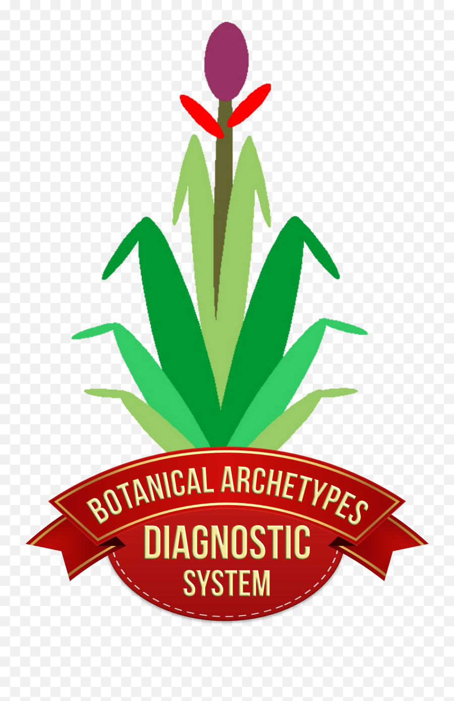 The Bromeliad Family Skyflowers Since 1997 - Natural Foods Emoji,Pineapple Emotions