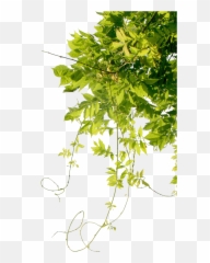 Tree Shrub Bush Sticker - Twig Emoji,Shrub Emoji