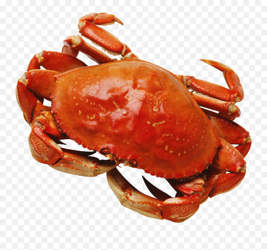 Crab Png Image - Crab Png Emoji,Crab Emoticon