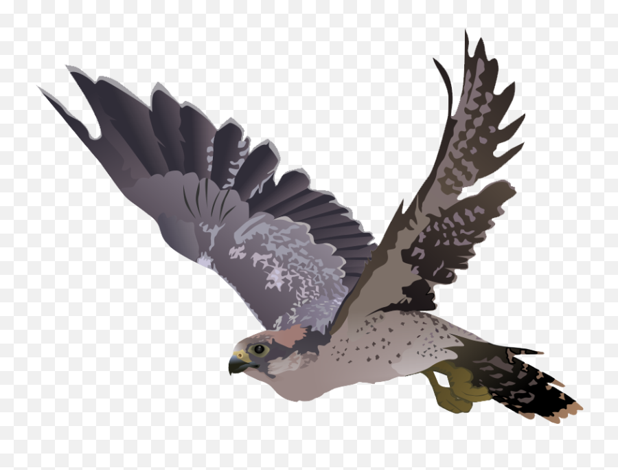 Falcon Clipart 6 - Clipartix Peregrine Falcon Transparent Background Emoji,Atlanta Falcons Emoji