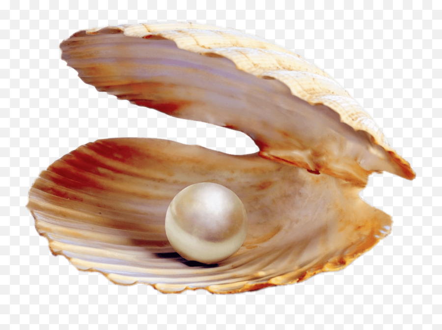 Pearl In A Shell Emoji,Xoxo Emoji Answer