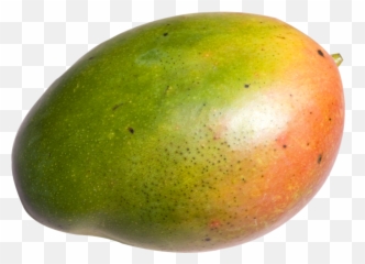 Mango Transparent Image - Real Mango Clipart Emoji,Transparent Mango Emoji