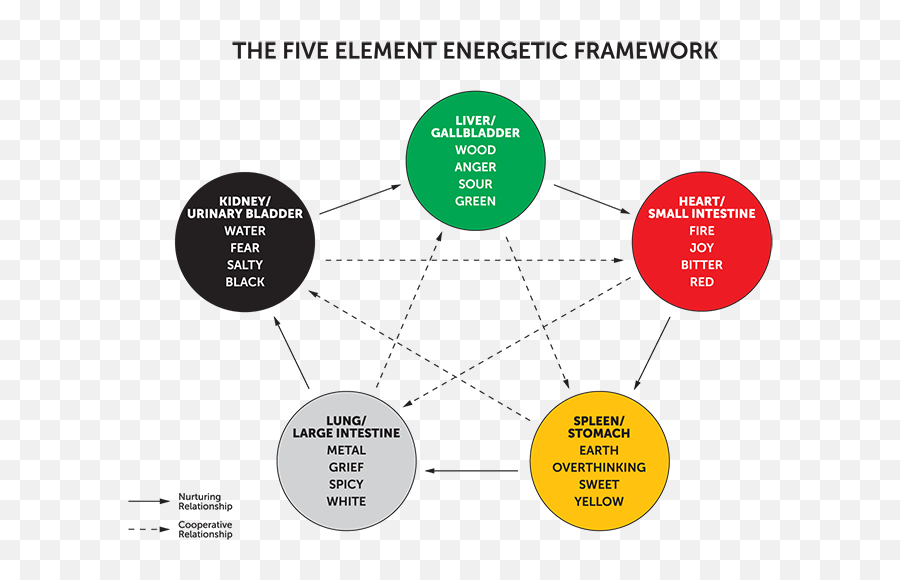 The Five Element Energetic Framework - Dot Emoji,Chinese Medicine Emotions Organs Chart
