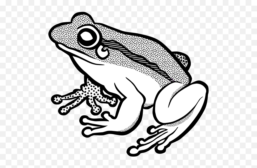 Vector Clip Art Of Waiting Frog In Black And White Free Svg - Line Art Frog Png Emoji,Mexican Frog Emoticon