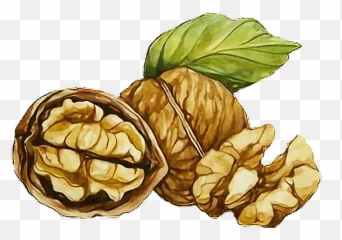 Sticker Walnuts Walnut Sticker - Fresh Emoji,Walnut Emoji