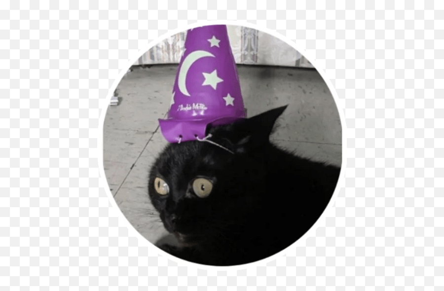Wholesome Animals Stickers - Live Wa Stickers Emoji,Wizard Hat Emoji