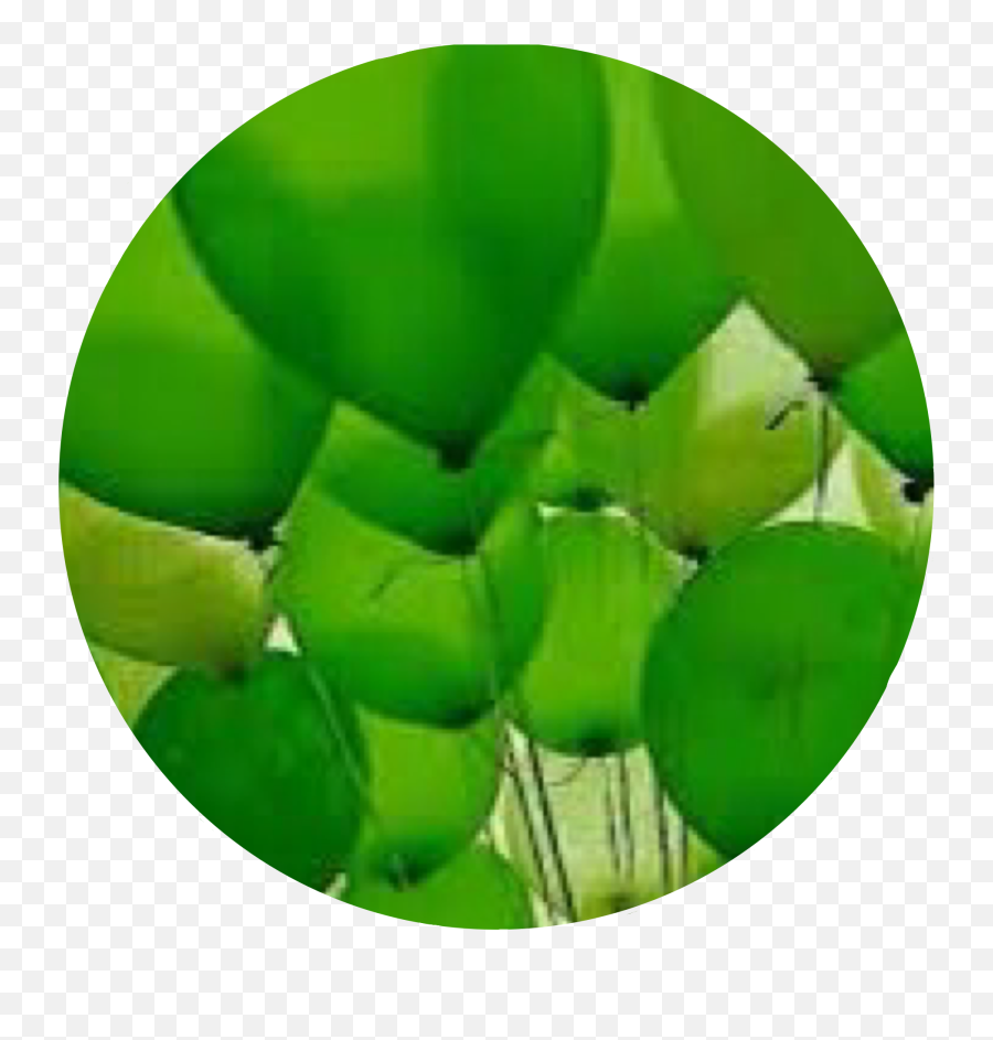 Discover Trending Hintergrundbilder Stickers Picsart - Green Balloons Emoji,Emoji Hintergrundbilder Discover Trending Hintergrundbilder Stickers Picsart - Green Balloons Emoji,Emoji Hintergrundbilder