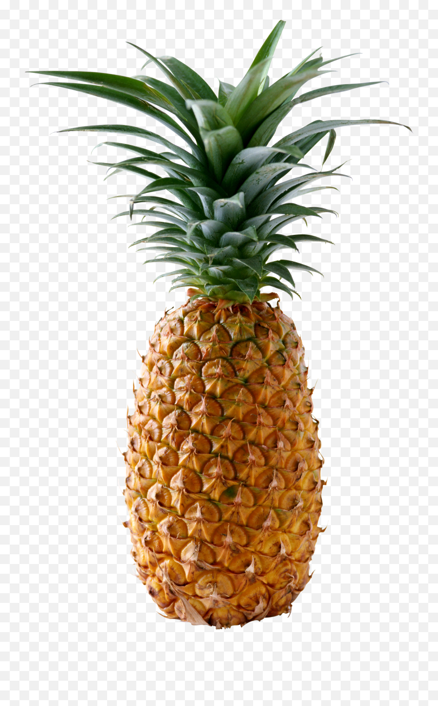 220 Clipart Ideas - Pineapple Png Emoji,Emoji Movie Pen Pineapple