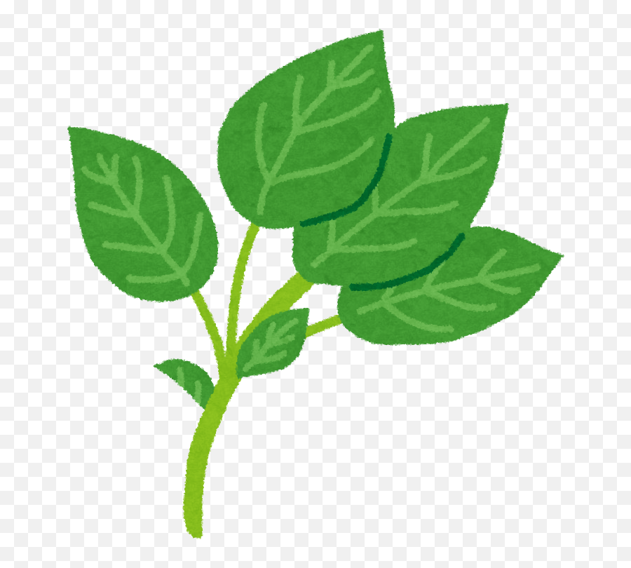 Emoji,Oregano Leaves Emoji