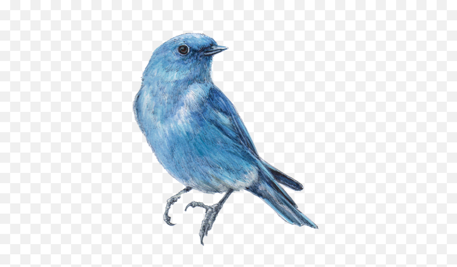 Birds Kids In Parks Emoji,Ble Bird Emoji