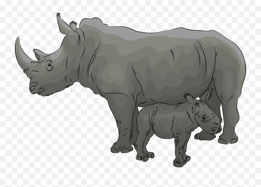 Mother With Baby Rhino Clipart Free Download Transparent - White Rhinoceros Emoji,Mother Nature Emoji