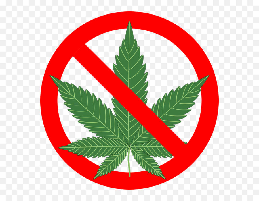 Weed Png And Vectors For Free Download - Dlpngcom Dibujos De No A La Marihuana Emoji,Weed Leaf Emoji