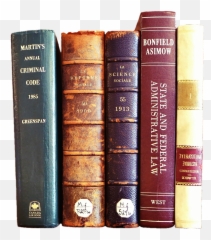 Julieta Lanter - Law Books Emoji,Lanter Emotions