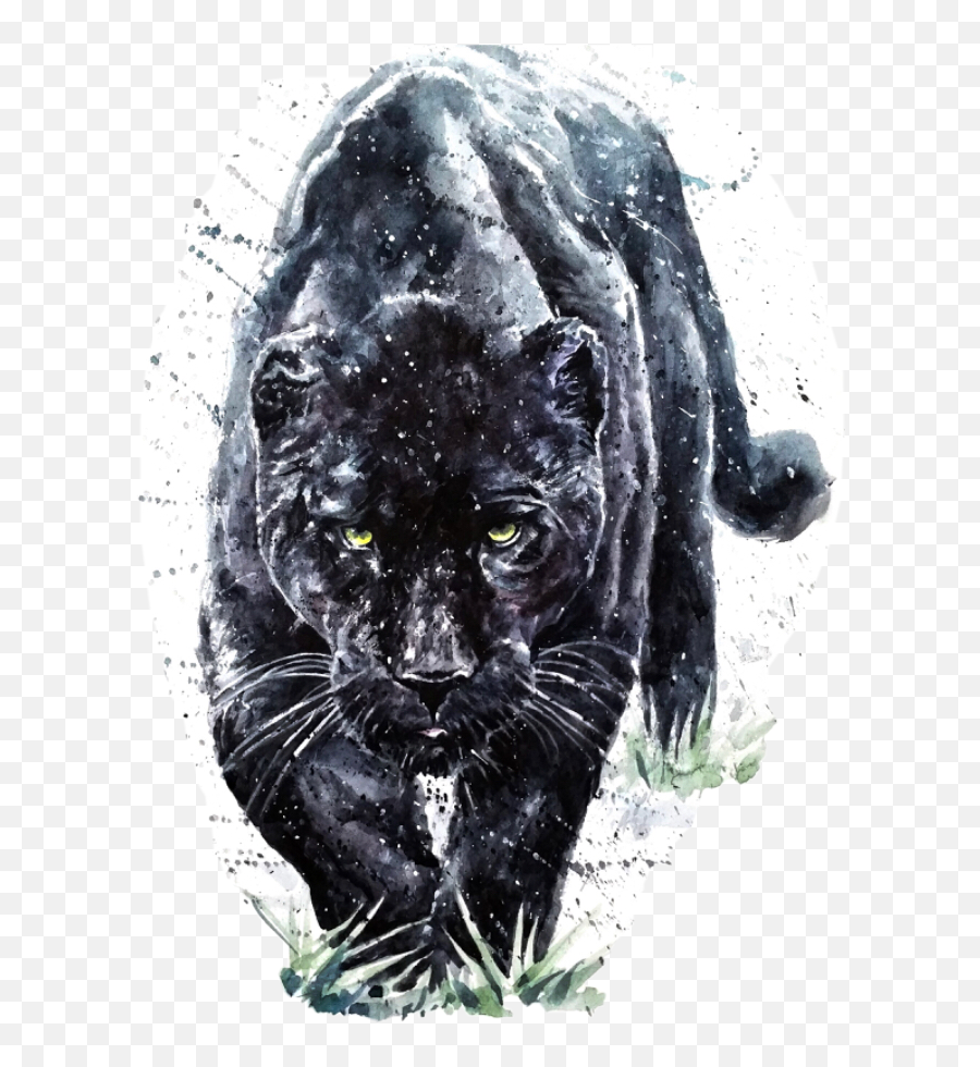 Panther Sticker Challenge On Picsart - Animal Panther Art Emoji,Vblack Panther Emojis