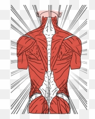 Trapped Emotions - Back Muscles Emoji,Emotion Code Chart