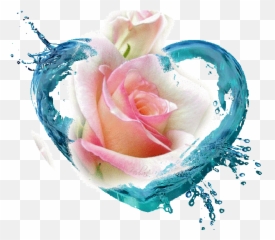 Pin By Tayira Mora Black On Flower Gifs Rose Flower Emoji,Golden Retriever Emoji Gif