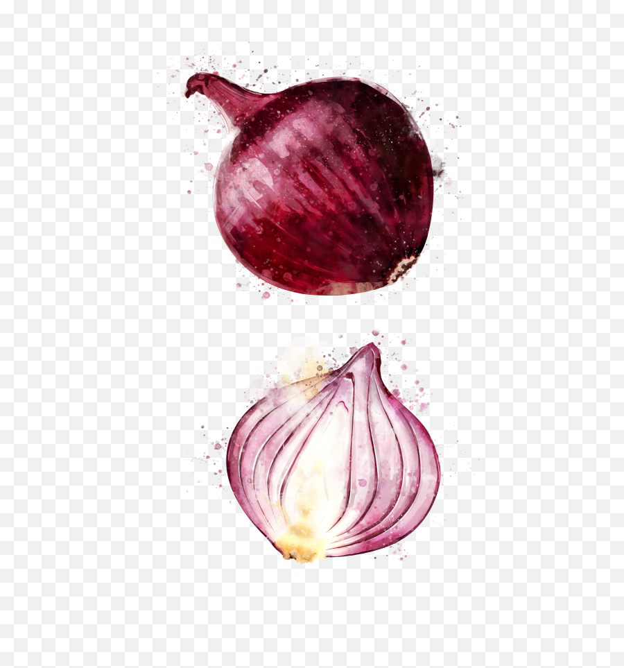 Marketing U0026 Public Relations U2013 Cuisine Canvas Emoji,Windows Onion Emoji Vector