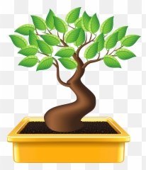 Bonsai - Bonsai Plants Clip Art Emoji,Bonsai Emoji