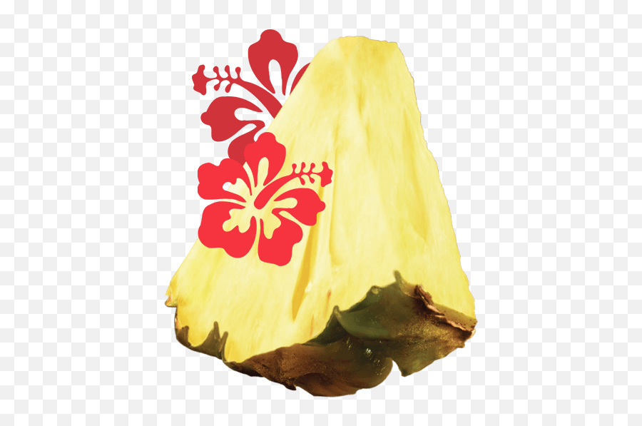 Flavors - Lindyu0027s Italian Ice Lindyu0027s Italian Ice Hawaiian Flower Clipart Emoji,Hawaiian Flower Emoticon
