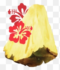 Flavors - Lindyu0027s Italian Ice Lindyu0027s Italian Ice Hawaiian Flower Clipart Emoji,Hawaiian Flower Emoticon