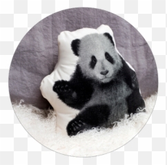 49 Pandas Ideas Panda Love Panda Panda Items Emoji,Panda Express Ad Emotion