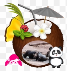 Pinkieu0027s Day Out Visiting Gaia Zoo U2013 Pinkieu0027s Paradise - Giant Panda Emoji,Gaia Emotion