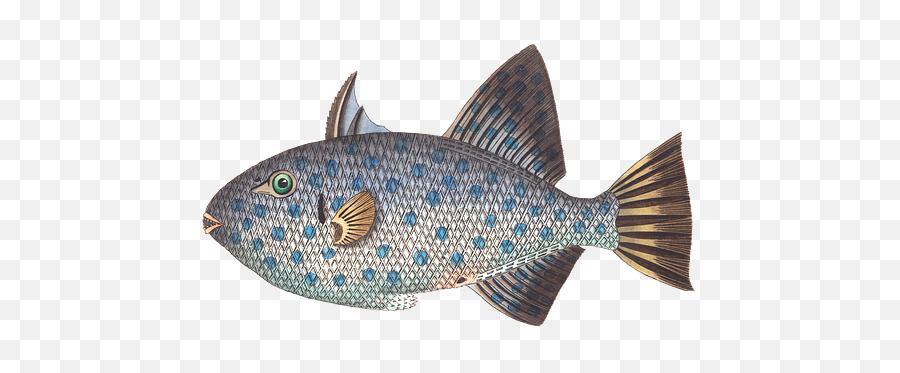 Fishsource - Fish Emoji,Emotion Angler 11